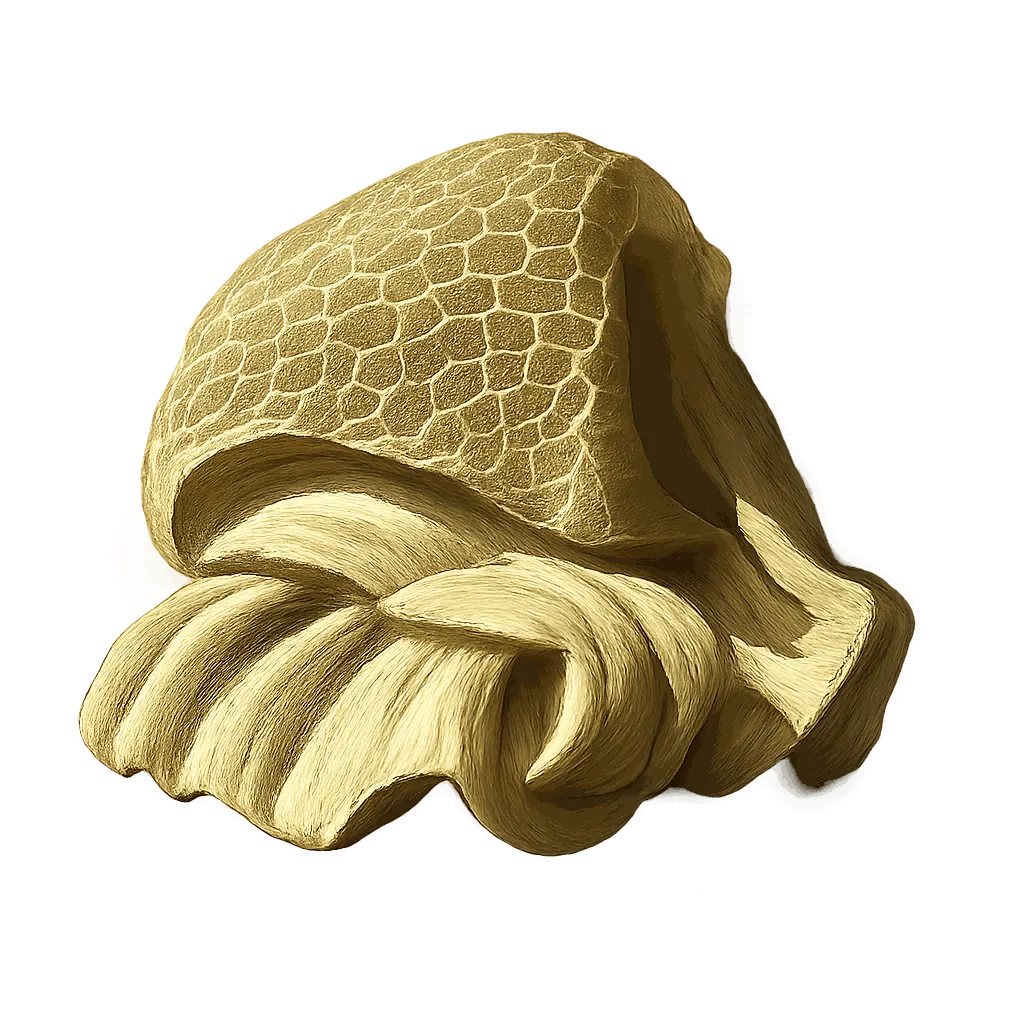 Beef tripe